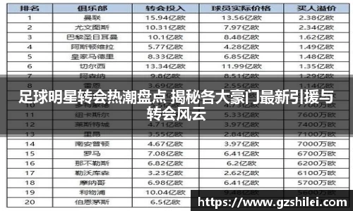 足球明星转会热潮盘点 揭秘各大豪门最新引援与转会风云