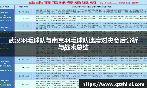 武汉羽毛球队与南京羽毛球队速度对决赛后分析与战术总结