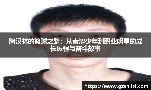 陶汉林的篮球之路：从青涩少年到职业明星的成长历程与奋斗故事